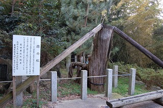 磔の松の案内が書かれた奥に松の下部分だけが残った松の写真