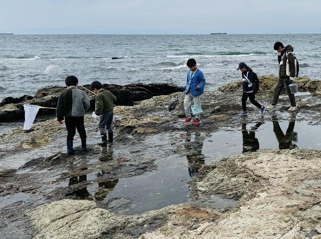 MIHAMA WONDER DAYS Blue Dayで参加した子供たちがビーチコーミングをしている様子
