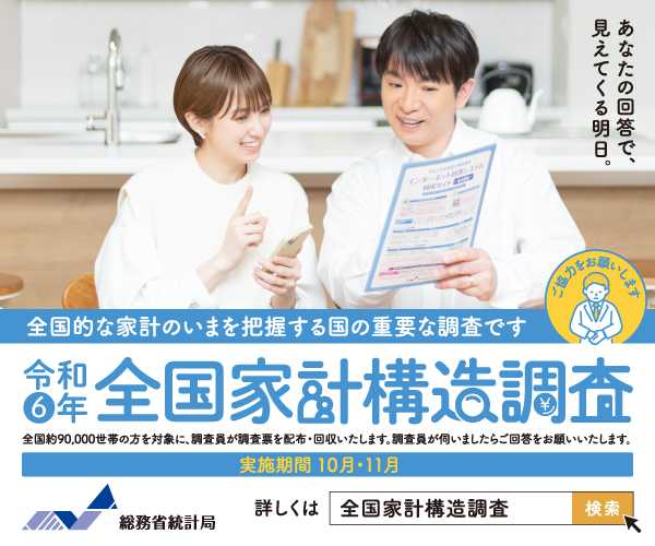令和6年全国家計構造調査のチラシ