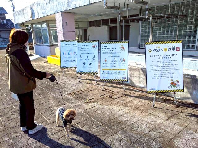 令和7年美浜町・河和南部地区合同防災訓練のペット同伴避難説明ブースの様子