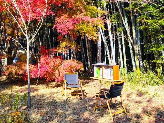 里山を楽しむOrangeDayでもみじの木のそばに読書用の椅子と本が設置されている様子