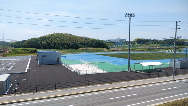 令和6(2024)年6月11日 公園北側(町道)から公園中央方面を映した定点カメラの写真