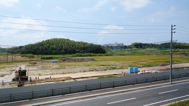令和4(2022)年6月23日 公園北側(町道)から公園中央方面を映した定点カメラの写真