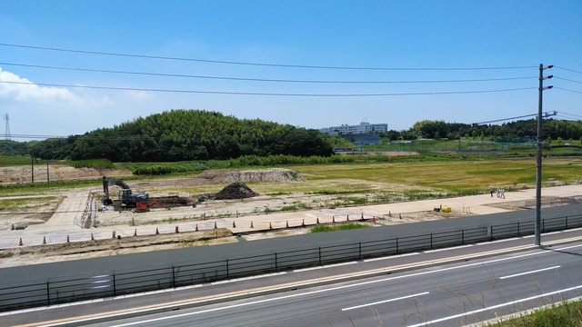 令和4(2022)年6月28日 公園北側(町道)から公園中央方面を映した定点カメラの写真