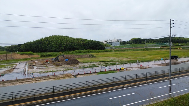 令和4(2022)年7月4日 公園北側(町道)から公園中央方面を映した定点カメラの写真