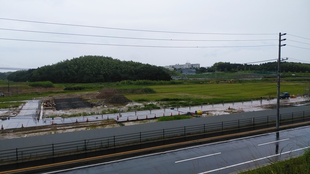令和4(2022)年7月19日 公園北側(町道)から公園中央方面を映した定点カメラの写真