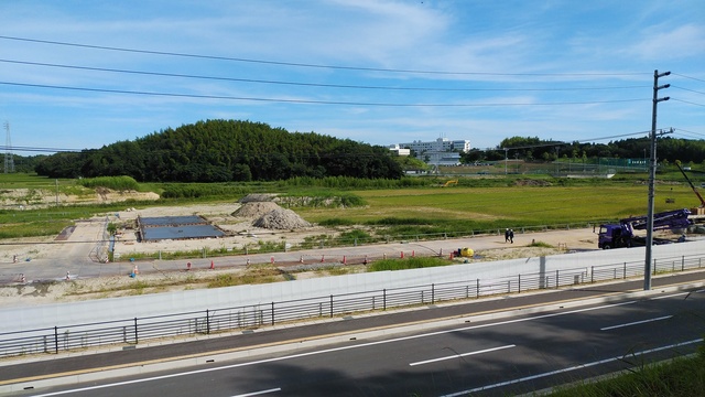 令和4(2022)年8月2日 公園北側(町道)から公園中央方面を映した定点カメラの写真