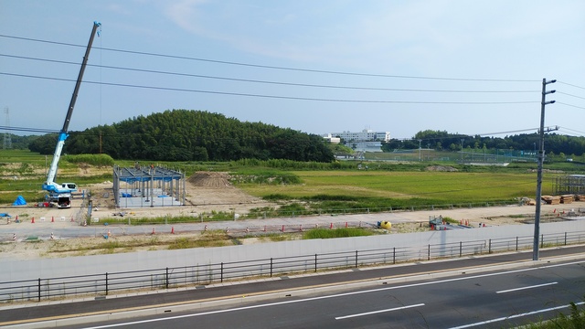 令和4(2022)年8月9日 公園北側(町道)から公園中央方面を映した定点カメラの写真