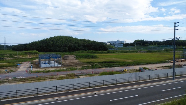 令和4(2022)年8月16日 公園北側(町道)から公園中央方面を映した定点カメラの写真