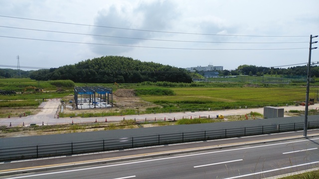 令和4(2022)年8月22日 公園北側(町道)から公園中央方面を映した定点カメラの写真