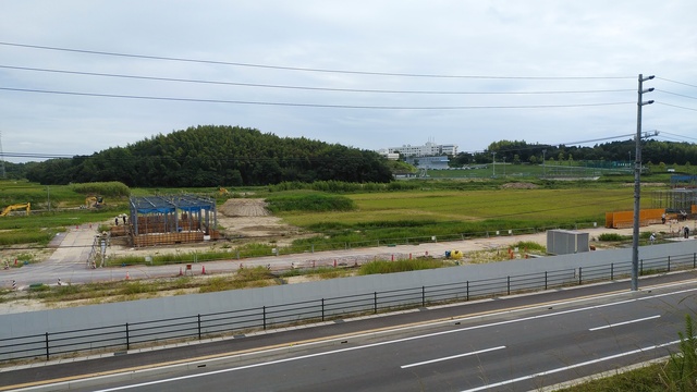 令和4(2022)年8月29日 公園北側(町道)から公園中央方面を映した定点カメラの写真