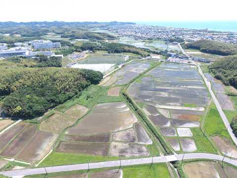 右奥の遠くに海沿いの市街地、左側に大学のキャンパスが見え、直角に真っすぐ通った幹線道路の一角にある運動公園が整備される前の建設予定地の田畑を上空から撮影した写真