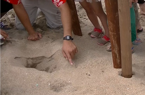 穴の開いた砂浜の近くにできた足跡を指さしている関係者の手元と、周りに集まっている参加者達の写真