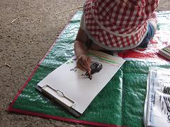 シートに座ってクレヨンで牛の絵を描いている子どもの写真