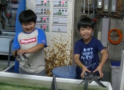 ウミガメの赤ちゃんの甲羅を持って持ちあげている2人の男の子の写真
