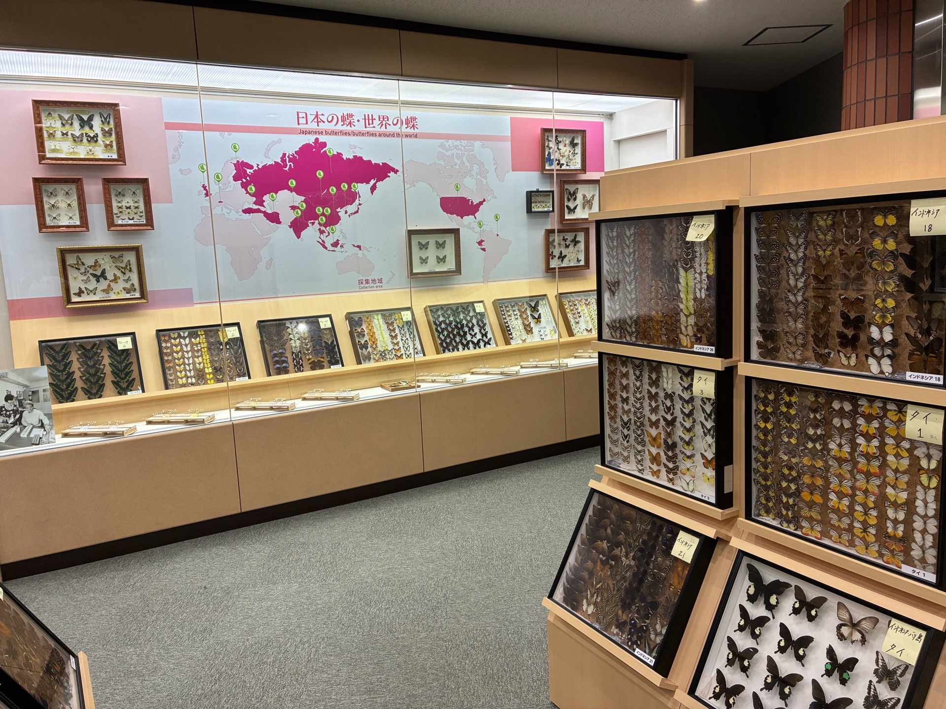 展示室の様子