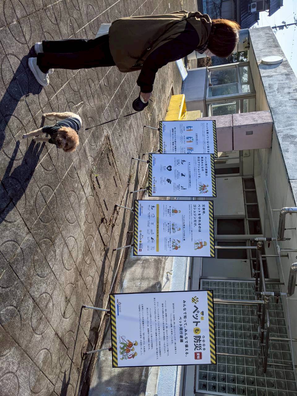 ペット避難について解説するパネルを見学するトイプードルを連れた地元区住民。