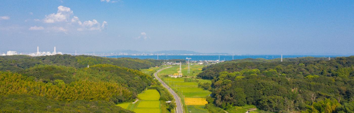 美浜町の夏の田園風景と海