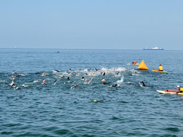 第26回アクアスロン・スプラッシュ&ダッシュin小野浦で選手たちが海でおよいでいる様子