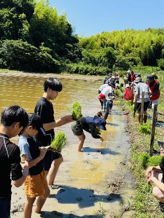 みはま祝い餅プロジェクトにおいて、参加者が田植えをしている様子。
