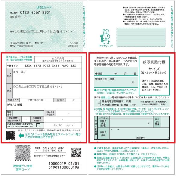 左側：マイナンバー通知カードの表の個人番号カード申請書兼電子証明書発行申請書の箇所を赤枠で示した写真 右側：マイナンバーカード裏面の顔写真貼付欄及び申請日、代理人記載欄の箇所を赤枠で示した写真