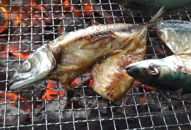 腹開きされた2枚の魚の干物が、炭火の網の上で焼かれている写真