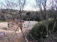 木々の奥に、木製の小屋が見える体験広場の写真