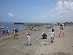 海岸が、砂浜を覗き込む人や歩いている参加者たちで賑わっている様子の写真