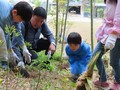 男性2名と、男の子が竹林の中の地面をのぞき込んでいる様子の写真