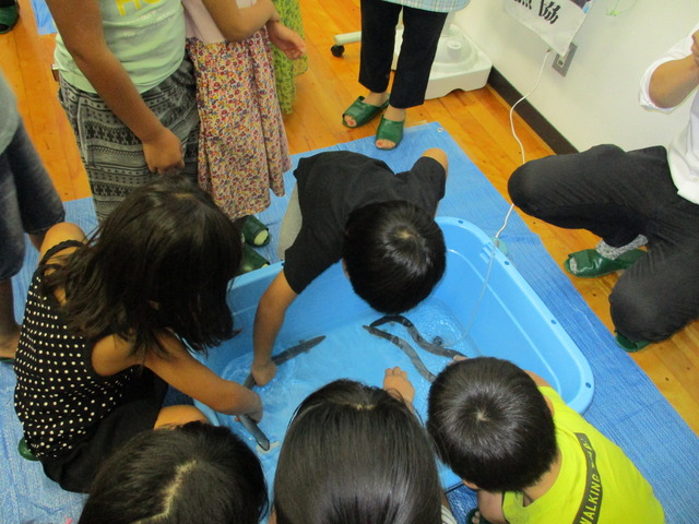 数匹のウナギが泳いでいる水の入った四角いコンテナの周りに子ども達が集まり、ウナギを手づかみて掴んでいる写真