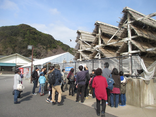 竹の枝を数段重ね、三角屋根のように見える枝条架塩田を参加者たちが見学している写真