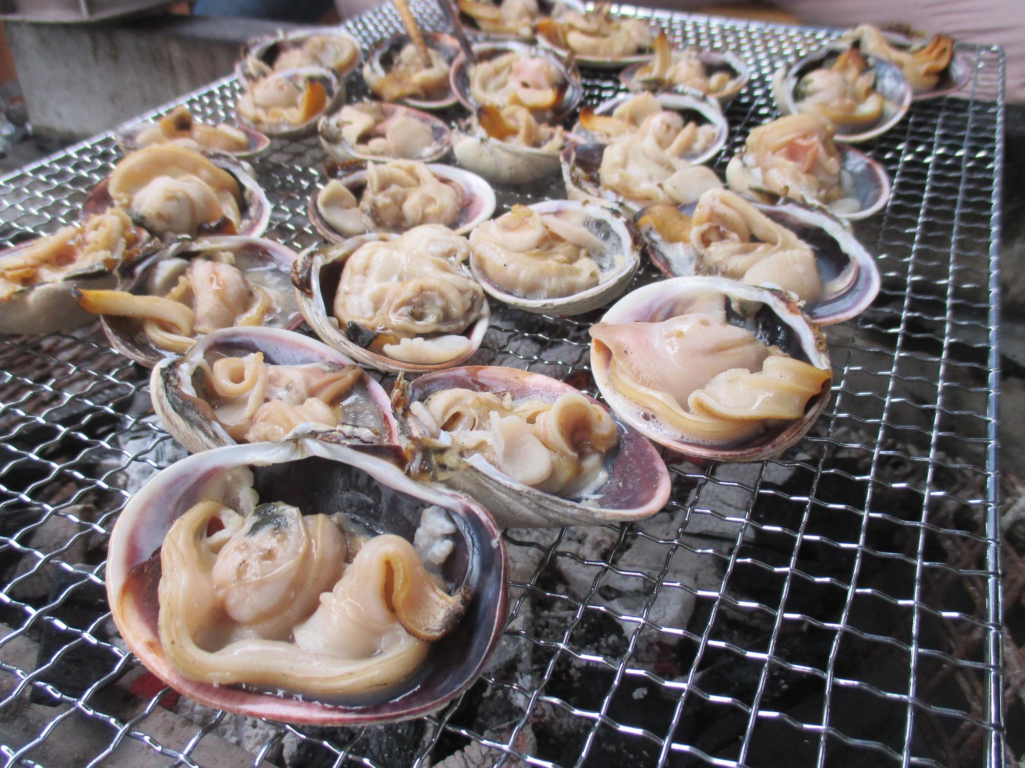 網の上で焼かれている沢山の大あさりの写真