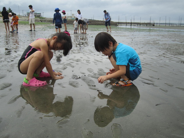 海岸の浅瀬にしゃがみこんで魚を捕まえている男の子と女の子の写真
