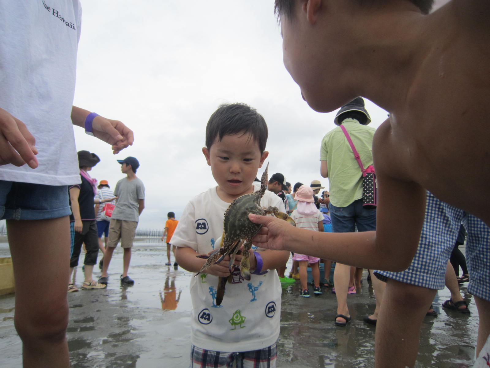 大きなカニを持って小さな子どもに見せている男の子の写真