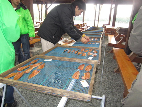 調味液の色がついた魚の切り身を、木枠の干し網の上に並べていく男性と、周りで様子を見守る関係者たちの写真