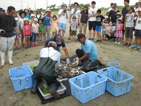 地引網でとれた魚介類をシートの上に広げている3名の飼育員とその様子を見ている参加者達の写真
