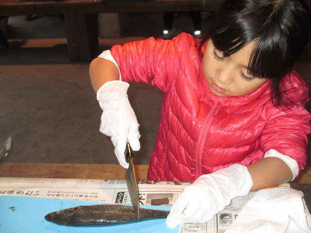 赤色のダウンに手袋を着用した女の子が、まな板の上に置かれた魚に包丁をあててさばこうとしている様子の写真