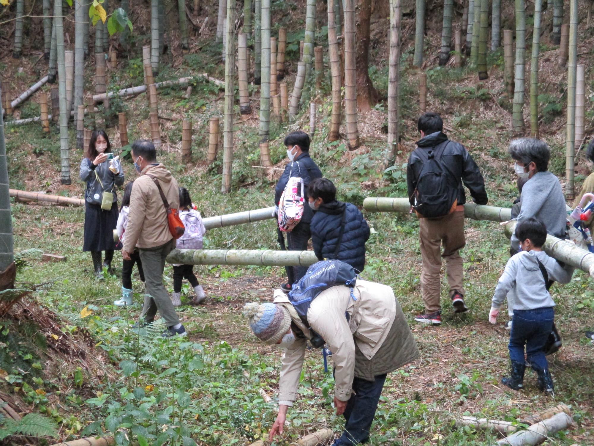参加者たちが切った竹を協力しながら運んでいる写真