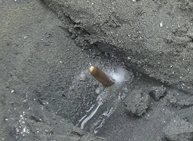 塩を振りかけた穴から出てきたマテ貝の写真