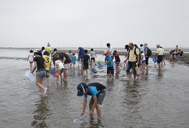 干潟に入って海の中の生き物を網ですくって観察している参加者の写真