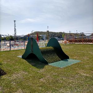 グラスランドウェーブ