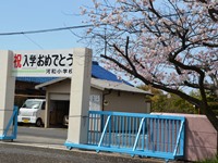 校門と桜